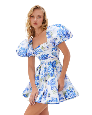 Yvon Helebore Mini Dress – Laly Saint-Tropez