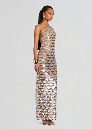 Genovia Embroidered Dress