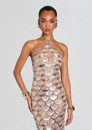 Genovia Embroidered Dress