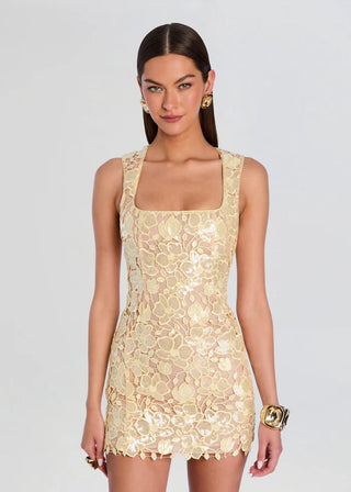 Elainy Sequin Lace Dress