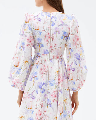 Anemone Maxi